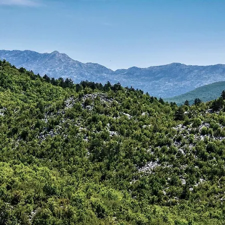 Amazing In With Kitchen Prázdninový dům Dicmo