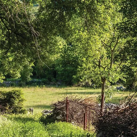 Amazing In With Kitchen